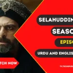 SAyyubi ep31