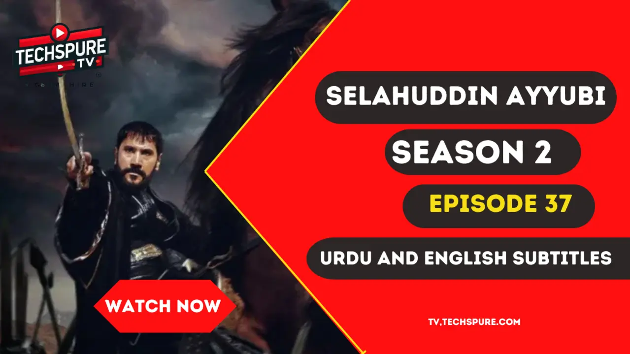 selahuddin 37